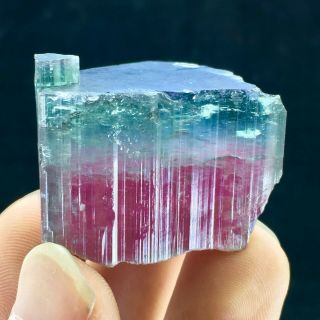 212 C.  T Top Quality Damage Terminated Bi Color Blue Cap Tourmaline Crystal 3