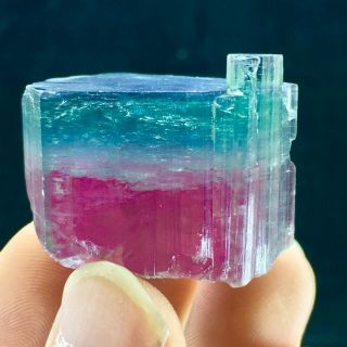 212 C.  T Top Quality Damage Terminated Bi Color Blue Cap Tourmaline Crystal 4