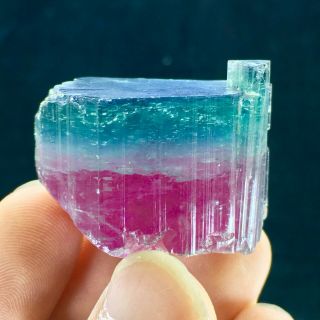 212 C.  T Top Quality Damage Terminated Bi Color Blue Cap Tourmaline Crystal 5
