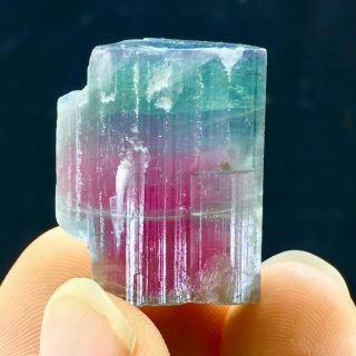98 C.  T Top Quality Damage Terminated Bi Color Blue Cap Tourmaline Crystal