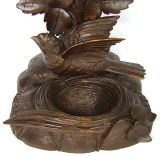 Antique Hand Carved Black Forest Benitier or Holy Font with Bird & Nest 5