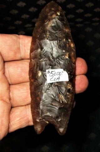 Giant Fluted Clovis - Authentic Paleo Indian Artifact with T&T 9