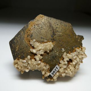 Fine Pyrrhotite Crystal - Santa Eulalia,  Mexico 7cm Old - Timer