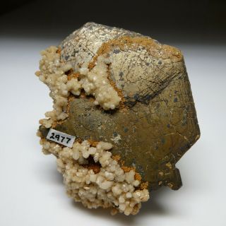 Fine PYRRHOTITE crystal - Santa Eulalia,  Mexico 7cm old - timer 2