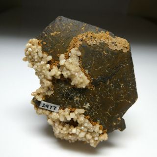 Fine PYRRHOTITE crystal - Santa Eulalia,  Mexico 7cm old - timer 5