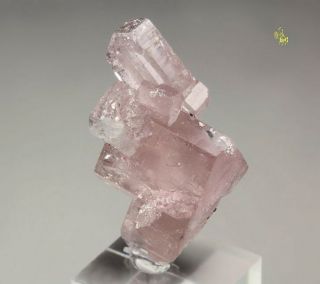 Quebul Fine Minerals - Pink Gem Fluorapatite - La Marina Mine,  Colombia