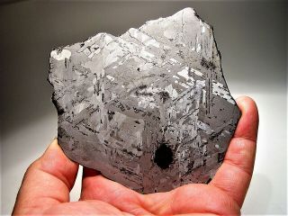 A Brazilian Beauty Uruacu Iron Meteorite Full Slice 230 Gm