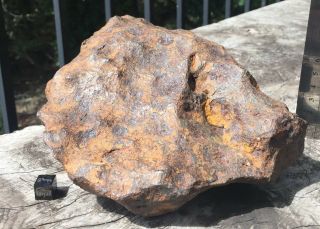 Meteorite,  Iron Iab - Mg: 5861g Sculpted Odessa From Texas