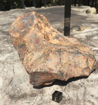 Meteorite,  Iron IAB - MG: 5861g sculpted Odessa from Texas 7