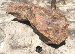 Meteorite,  Iron IAB - MG: 5861g sculpted Odessa from Texas 8