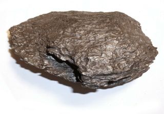 Meteorite,  Ataxite Dronino,  Russia,  Complete Sandblasted Piece,  3170 Grams