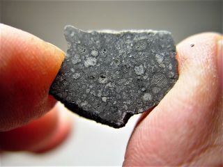 Historic Witnessed Fall Best Allende Cv3 Meteorite End Cut 4.  31 Gms