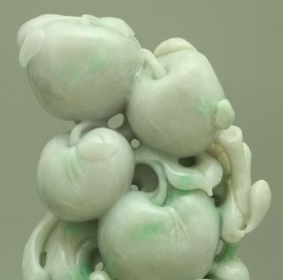 Certified Green Natural A Jade jadeite Statue Sculpture Apple 苹果 q0468H 5