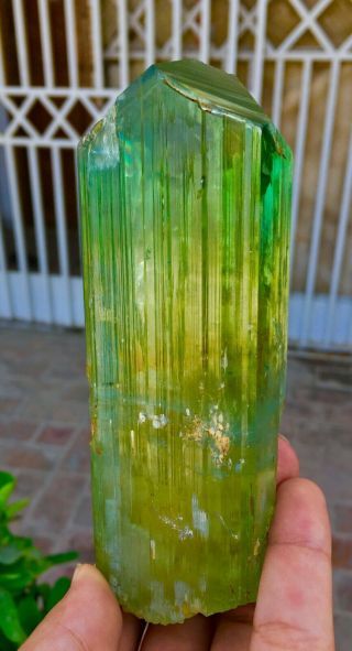 2411 C.  T Top Quality Damage Terminated Green Color Kunzite Crystal 2