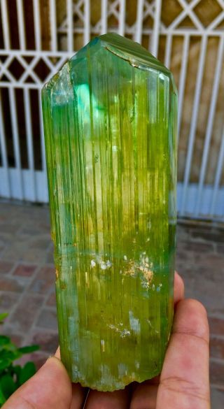 2411 C.  T Top Quality Damage Terminated Green Color Kunzite Crystal 3