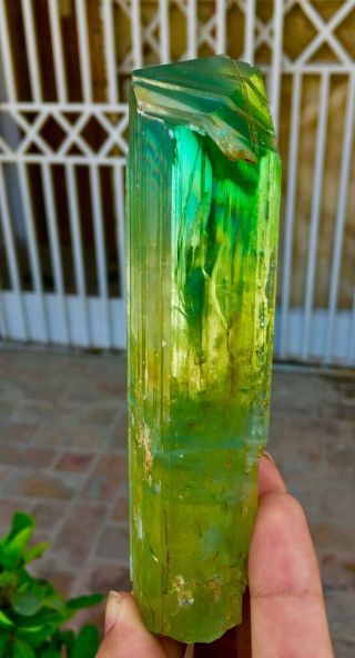 2411 C.  T Top Quality Damage Terminated Green Color Kunzite Crystal 4