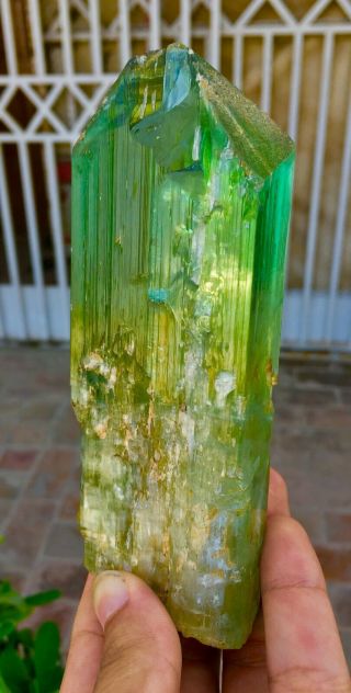 2411 C.  T Top Quality Damage Terminated Green Color Kunzite Crystal 5