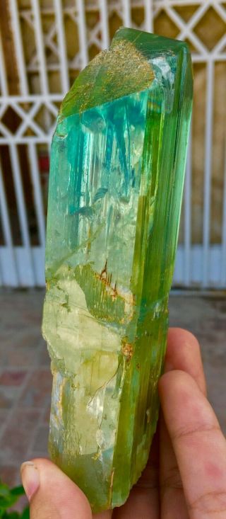 2411 C.  T Top Quality Damage Terminated Green Color Kunzite Crystal 6