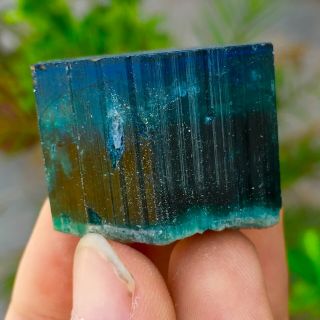 252 C.  T Top Class Damage Terminated Bi Color Blue Cap Tourmaline Crystal