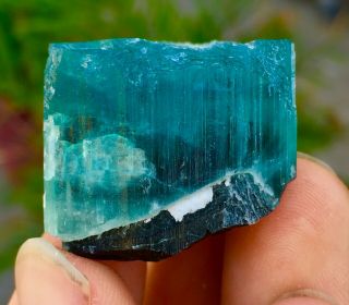 222 C.  T Top Class Damage Terminated Bi Color Blue Cap Tourmaline Crystal