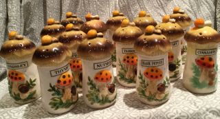 Merry Mushroom Sears And Roebuck Spice Shakers Set Of 12