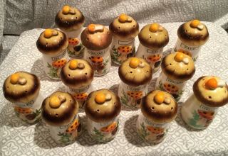 Merry Mushroom Sears and Roebuck Spice Shakers Set of 12 2