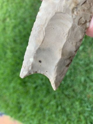 Native American Ohio Fluted Clovis Point Paleo Arrowhead Artifact 4