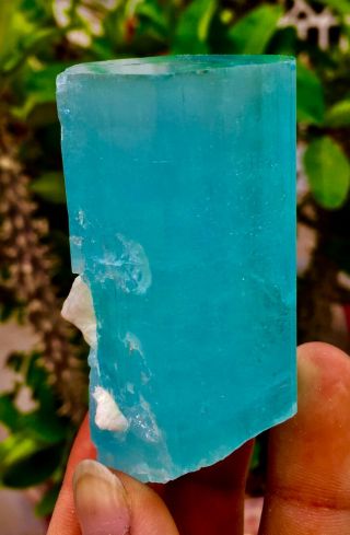 Wow 738 C.  T Top Class Damage Terminated Blue Color Aquamarine Crystal