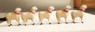 Five Wooly Sheep,  Black Sheep Dog.  Shepherd.  All.  1900s German. 9