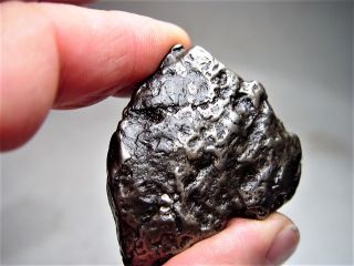 Big Shattered Crystal Uruacu Iron Meteorite Brazil 203 Gms