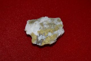 California Natural Gold in Quartz Specimen Natural Gold Nugget HEAVY 23.  5G 10