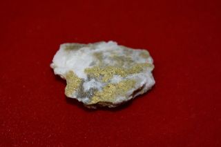 California Natural Gold in Quartz Specimen Natural Gold Nugget HEAVY 23.  5G 11