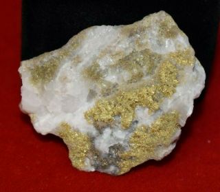 California Natural Gold In Quartz Specimen Natural Gold Nugget Heavy 23.  5g