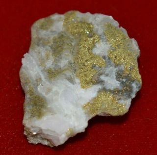 California Natural Gold in Quartz Specimen Natural Gold Nugget HEAVY 23.  5G 4