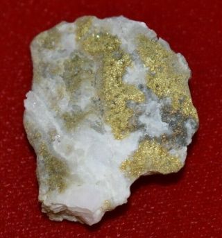 California Natural Gold in Quartz Specimen Natural Gold Nugget HEAVY 23.  5G 5