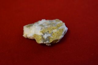California Natural Gold in Quartz Specimen Natural Gold Nugget HEAVY 23.  5G 6