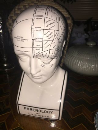 Vintage Phrenology Head Staffordshire 
