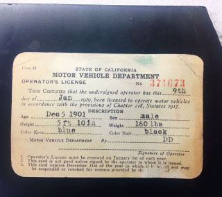 1929.  Walt Disney Driver Licence