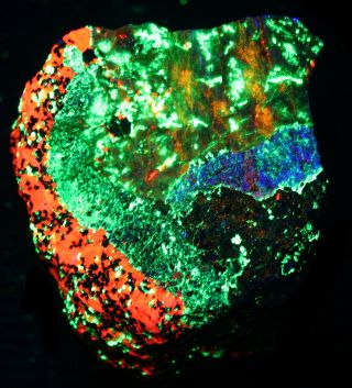 Willemite,  Bustamite Fluorescent Minerals Five Color,  Franklin Nj