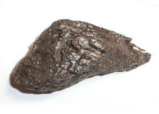 Meteorite,  Ataxite Dronino,  Russia,  complete sandblasted piece,  990 grams 2
