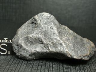 Meteorite - Campo del Cielo - Iron Meteorite - CDC - 4726 - 168.  0g Shape 2