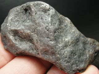 Meteorite - Campo del Cielo - Iron Meteorite - CDC - 4726 - 168.  0g Shape 5