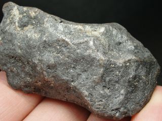 Meteorite - Campo del Cielo - Iron Meteorite - CDC - 4726 - 168.  0g Shape 8