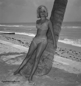 Bunny Yeager 1965 Camera Negative Photograph Relaxed Pretty Mod Bathing Beauty