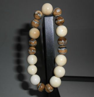 Fossil Woolly Mammoth Tooth Molar Round Bead Stretch Bracelet