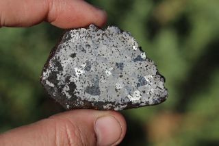 Bondoc Meteorite Etched Full Slice 22.  4 Grams