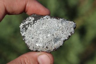 Bondoc Meteorite etched full slice 22.  4 grams 2
