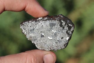 Bondoc Meteorite etched full slice 22.  4 grams 3