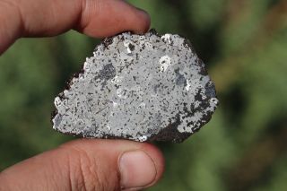 Bondoc Meteorite etched full slice 22.  4 grams 4