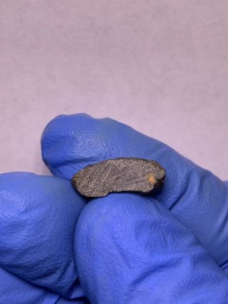Meteorite NWA 12320 Pairing; Angrite 0.  81 Grams; Rarest Type 10
